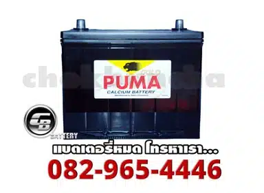 ราคาแบตเตอรี่แห้ง Puma Battery SMF