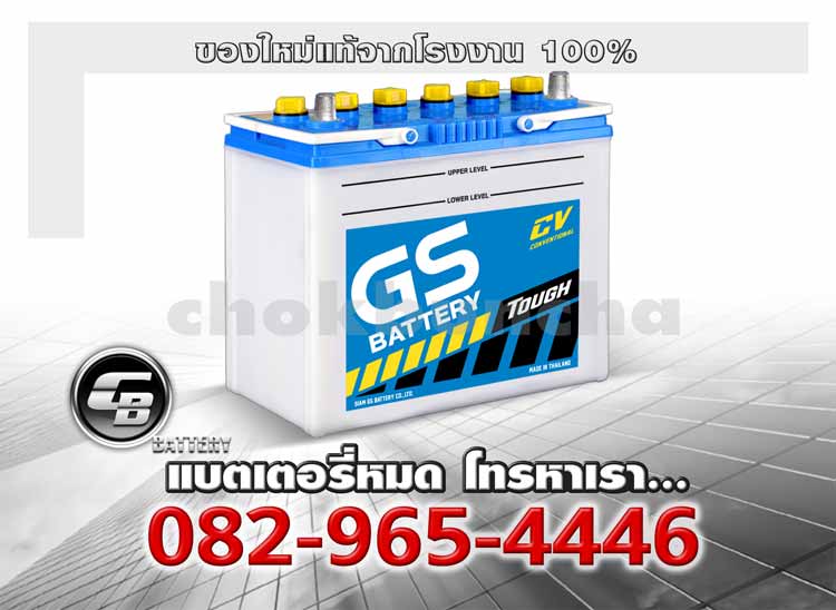 GS Battery NS60L 46B24L CV Genuine