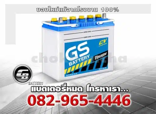 GS Battery NS60 46B24R CV Genuine