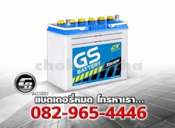 GS Battery NS60R 46B24R CV Price