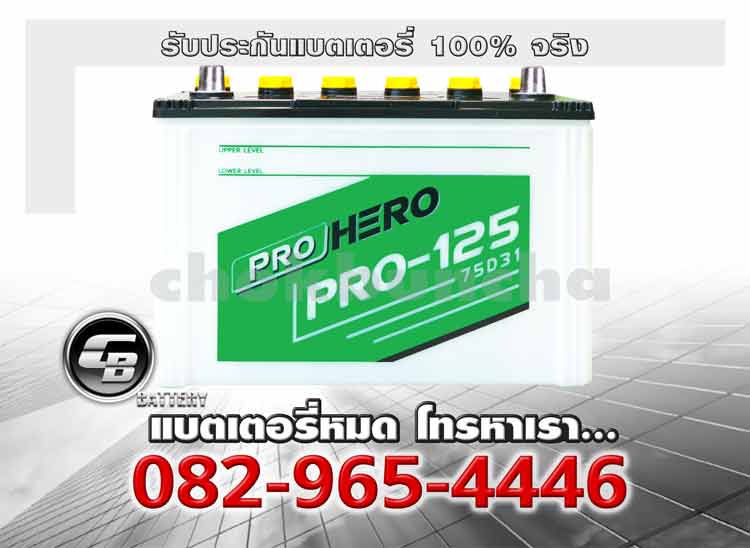 FB Battery Pro Hero Hybrid Pro125L 75D31L Battery warranty