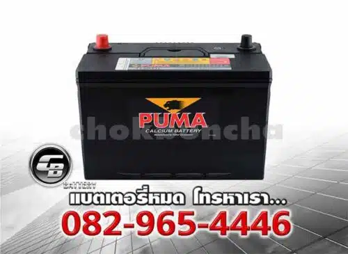 Puma Battery 130D31L PB210L SMF Bv