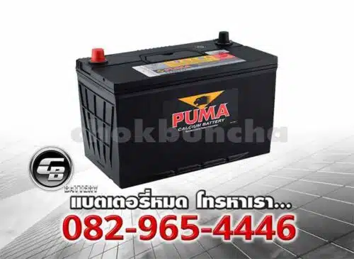 Puma Battery 130D31L PB210L SMF Per