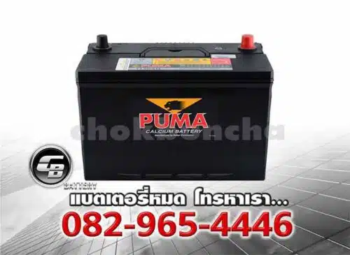 Puma Battery 130D31R PB210R SMF Bv