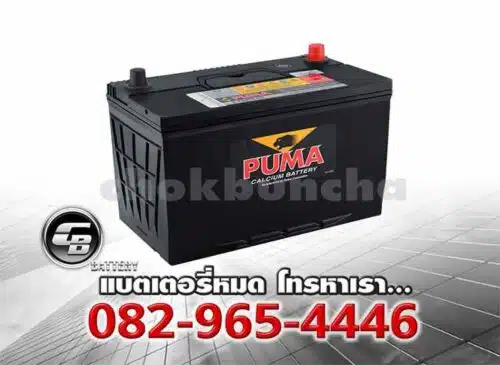 Puma Battery 130D31R PB210R SMF Per