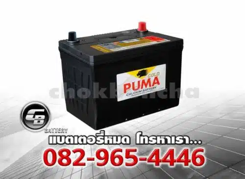 Puma Battery 80D26R NS70 SMF Per