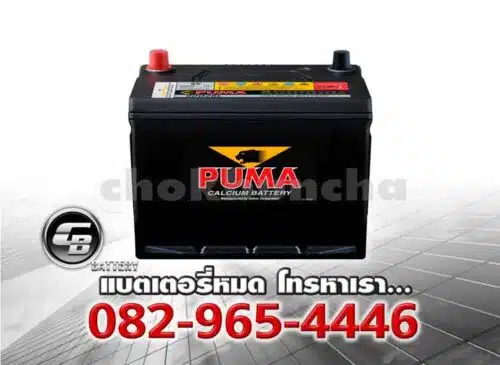 Puma Battery 95D26R SMF Bv