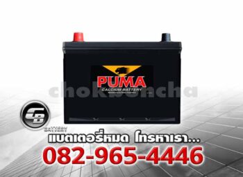 Puma Battery 95D26R SMF Front