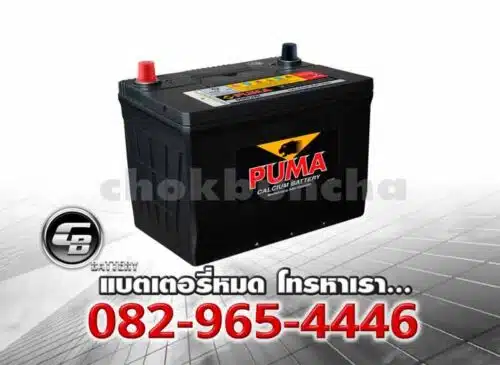 Puma Battery 95D26R SMF Per