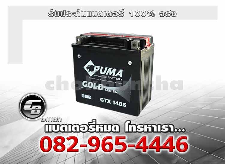 Puma Battery Auxiliary GTX14BS Battery warranty