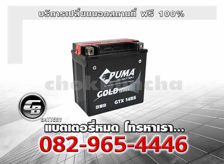 Puma Battery Auxiliary GTX14BS Change offsite