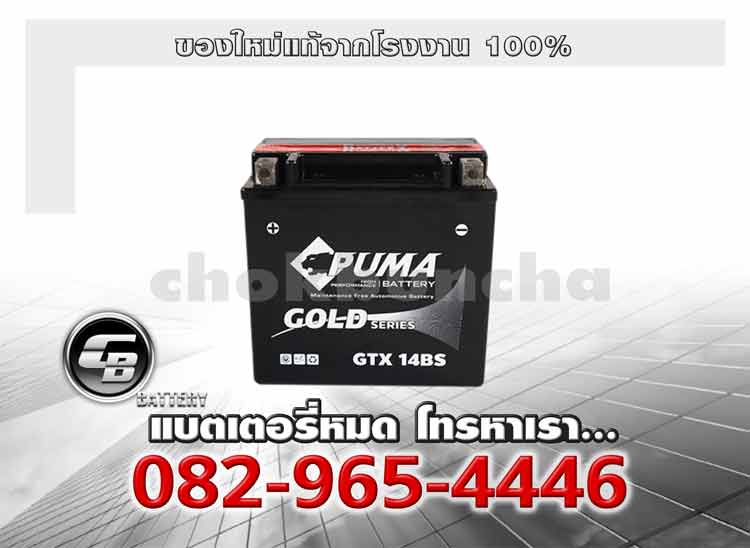 Puma Battery Auxiliary GTX14BS Genuine