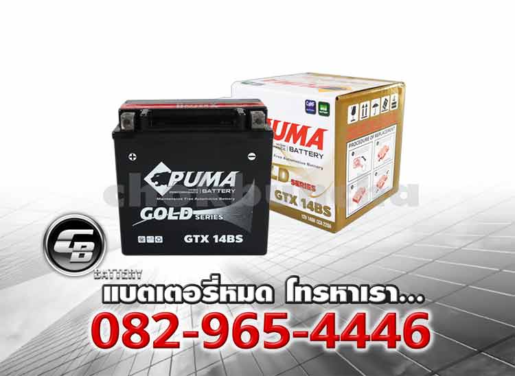 Puma Battery Auxiliary GTX14BS Price