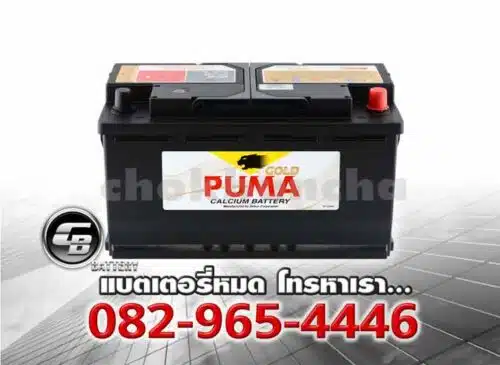 Puma Battery DIN100 60044 LN5 SMF Bv
