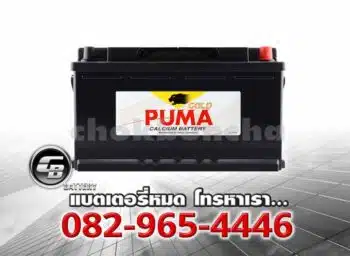 Puma Battery DIN100 60044 LN5 SMF Front