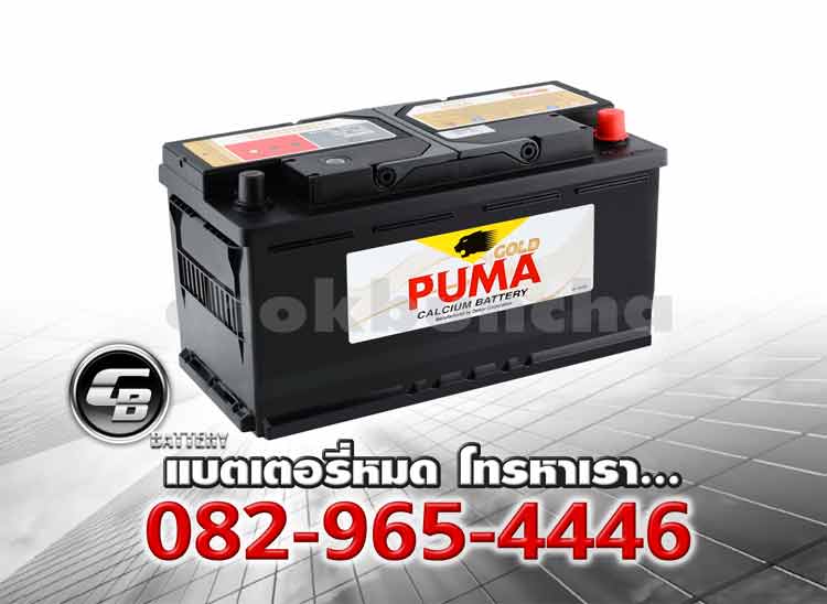 Puma Battery DIN100 60044 LN5 SMF Per