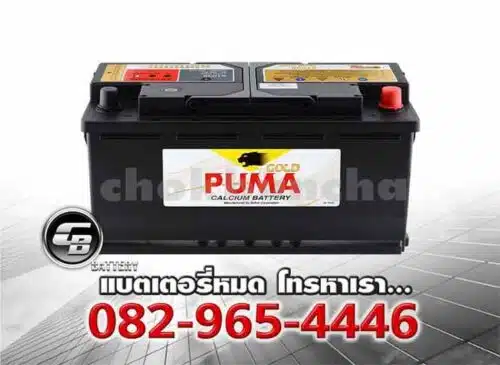 Puma Battery DIN110 61038 LN6 SMF Bv