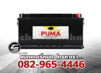 Puma Battery DIN110 61038 LN6 SMF Front