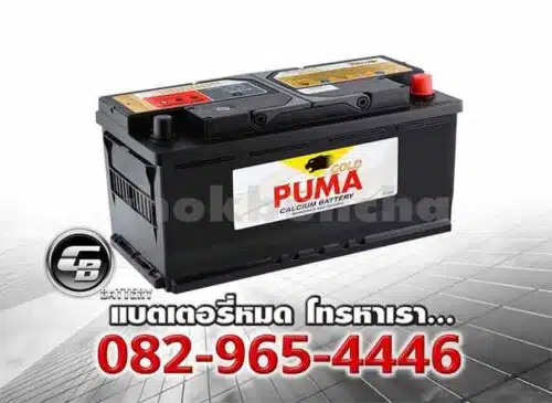 Puma Battery DIN110 61038 LN6 SMF Per