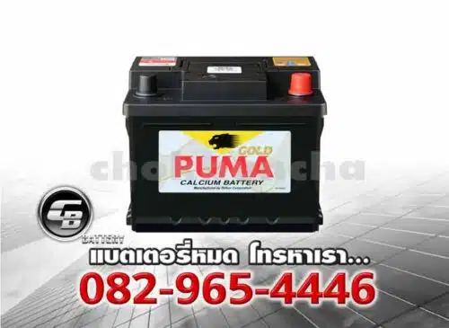 Puma Battery DIN45 LBN1 54313 SMF Bv