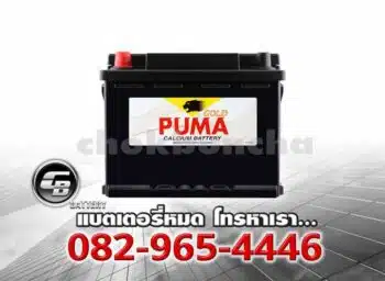 Puma Battery DIN45 LBN1 54313 SMF Front