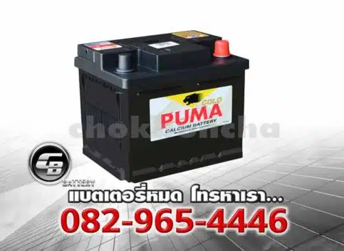 Puma Battery DIN45 LBN1 54313 SMF Per