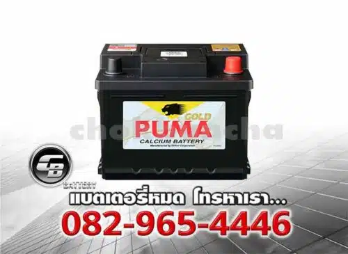 Puma Battery DIN50 LBN1 55016 SMF Bv