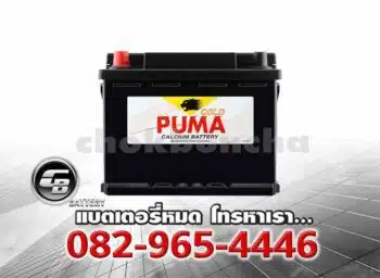 Puma Battery DIN50 LBN1 55016 SMF Front