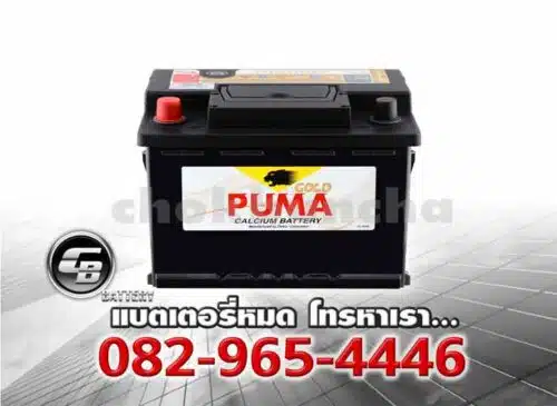 Puma Battery DIN55 LN2R 55548 SMF Bv