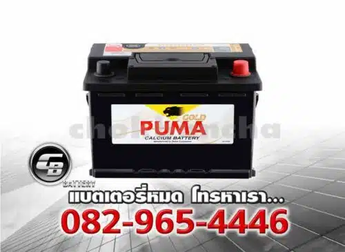 Puma Battery DIN62 LN2 56219 SMF Bv