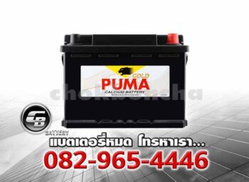 Puma Battery DIN62 LN2 56219 SMF Front