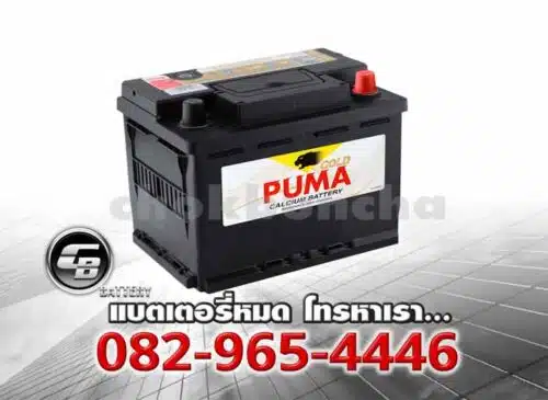 Puma Battery DIN62 LN2 56219 SMF Per