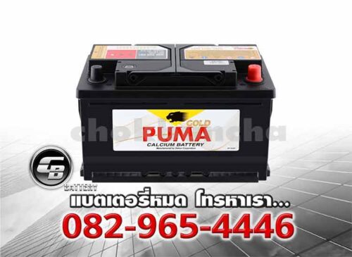 Puma Battery DIN80 58014 SMF LBN4 Bv