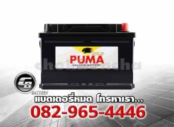 Puma Battery DIN80 58014 SMF LBN4 Front