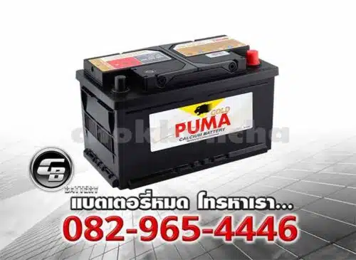 Puma Battery DIN80 58014 SMF LBN4 Per