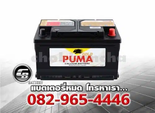 Puma Battery DIN86 586403081 LN4 SMF Bv