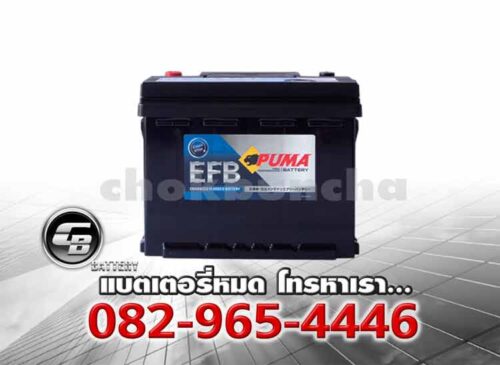 Puma Battery EFB LN2 SMF DIN65 Price