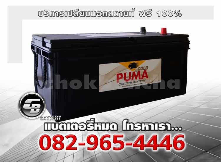 Puma Battery N200 SMF Change offsite