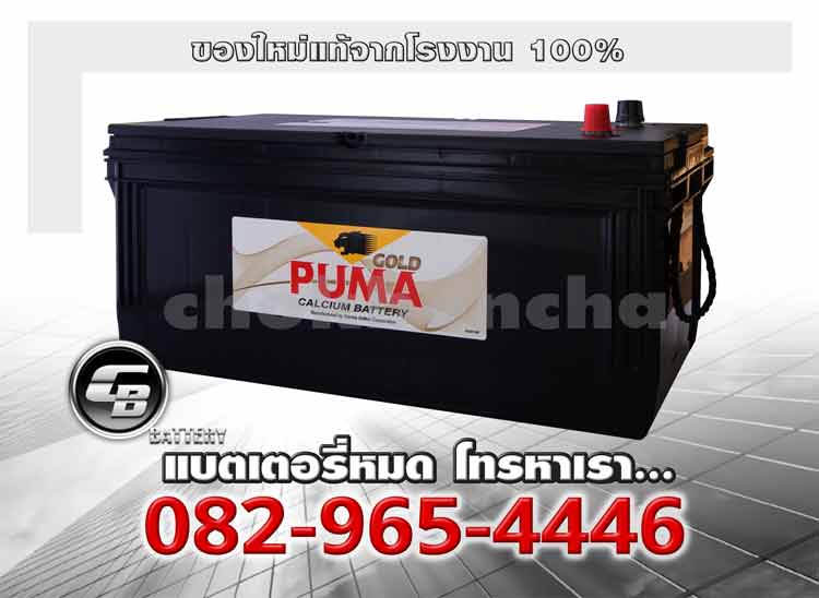 Puma Battery N200 SMF Genuine