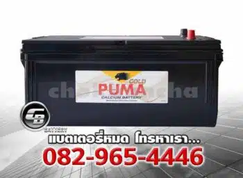 Puma Battery N200 SMF Price
