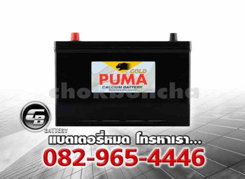 Puma แบตเตอรี่ 105D31L PG195L SMF Front