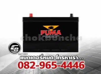 Puma แบตเตอรี่ 115D31L PB200L SMF Front