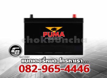 Puma แบตเตอรี่ 115D31R PB200R SMF Front