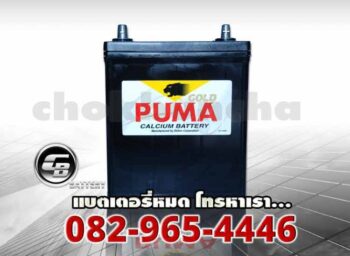 Puma แบตเตอรี่ 42B19L SMF Front