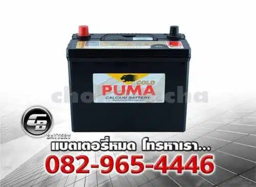 Puma แบตเตอรี่ 46B24L NS60L SMF Bv