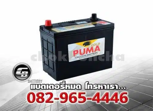 Puma แบตเตอรี่ 46B24L NS60L SMF Per