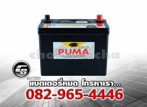 Puma แบตเตอรี่ 46B24R NS60 SMF Bv