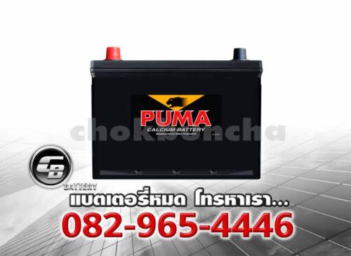 Puma แบตเตอรี่ 95D26L SMF Front