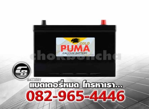 Puma แบตเตอรี่ 95D31R PG180R SMF Front