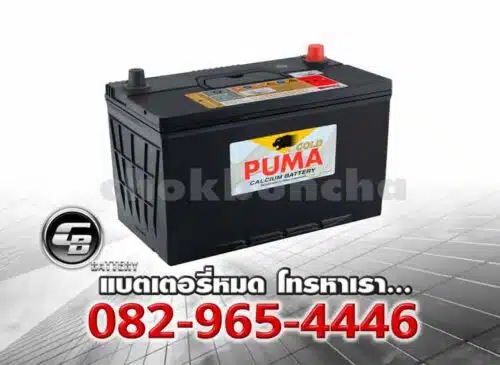 Puma แบตเตอรี่ 95D31R PG180R SMF Per